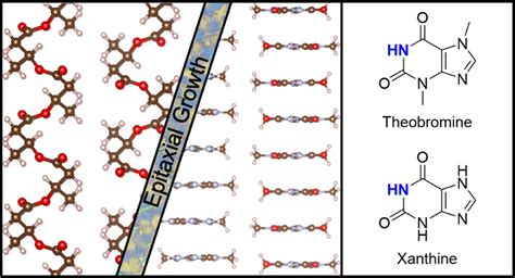  Ultra-High Molecular Weight Polyethylene: Revolutionizing Wear Resistance and Impact Strength Applications!